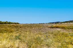 Garden City Glee - Mountain Views, Dogs Welcome - Image 4