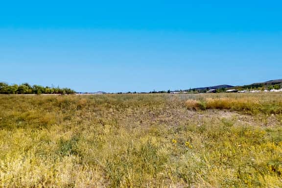 Garden City Glee - Mountain Views, Dogs Welcome - Image 4